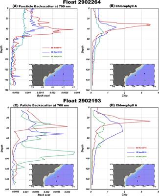 Seasonal intensification of oxygen minimum zone: linking Godavari River discharge to fall hypoxia in the Bay of Bengal